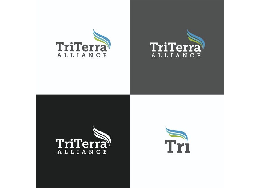 Parsons Corporation/Core Creative Services TriTerra Alliance Logo