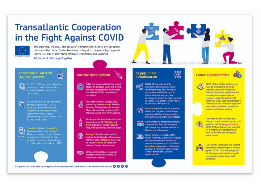 Transatlantic Cooperation COVID Infographic by Emily Rich Design, Inc.