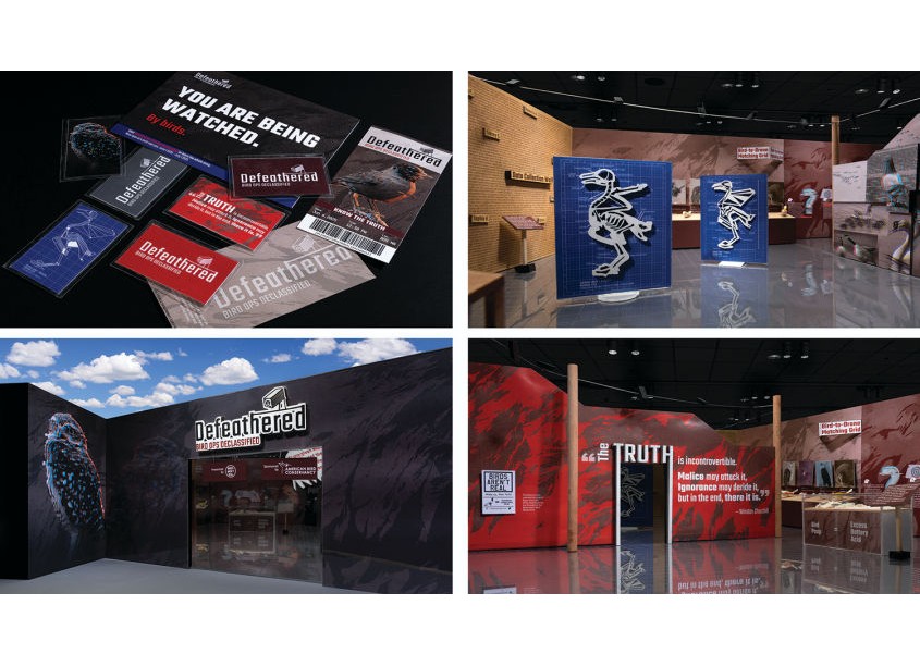 Defeathered Exhibit Student Project by Syracuse University | Communications Design