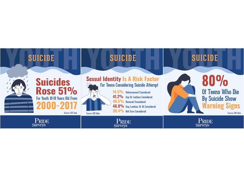 Youth Suicide Survey Data by Black Bear Design