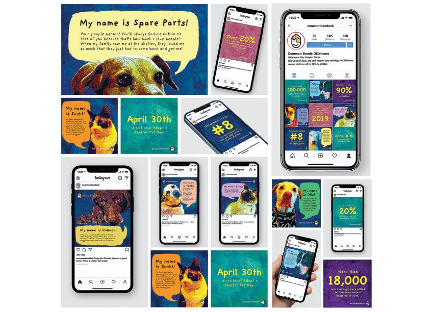 Pet Portraits Social Campaign by University of Central Oklahoma, School of Design