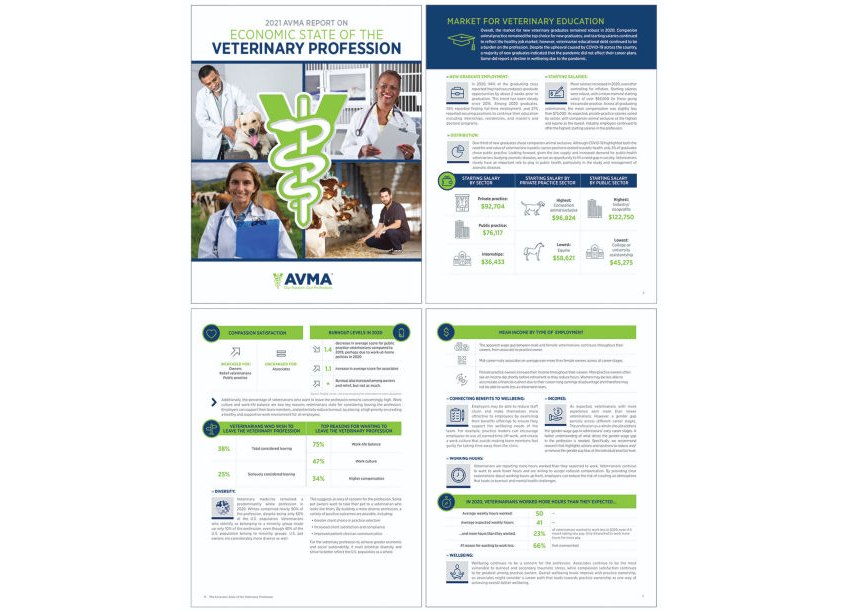 American Veterinary Medical Association (AVMA) 2021 AVMA Report on Economic State of the Veterinary Profession Report