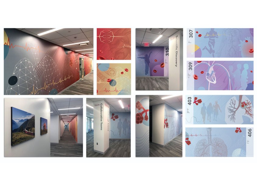 NHLBI Environmental Graphics & Office Art by National Institutes of Health (NIH) Medical Arts