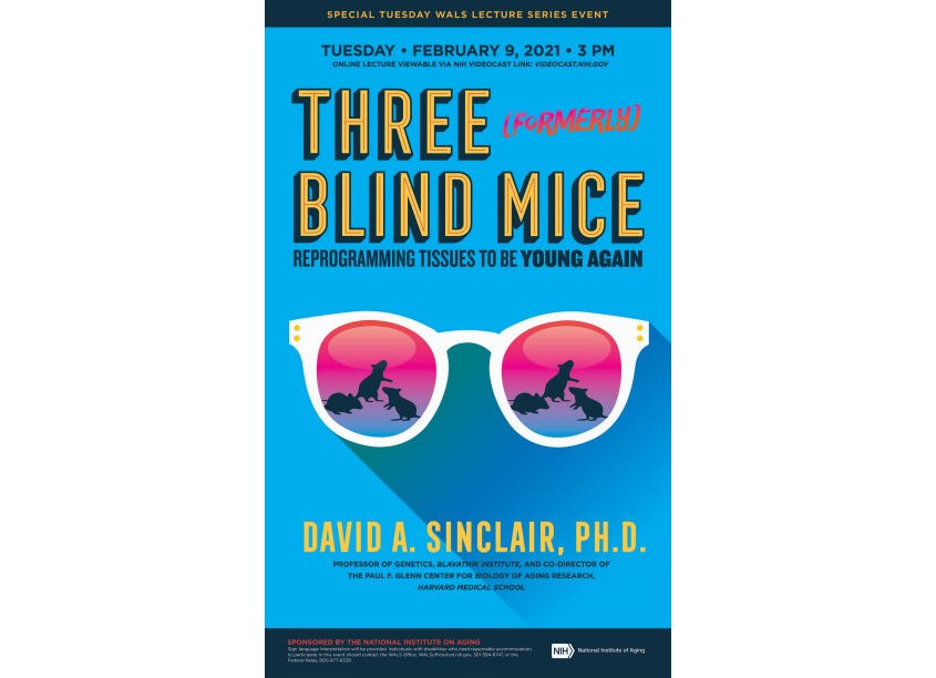 Three (Formerly) Blind Mice by National Institutes of Health (NIH) Medical Arts