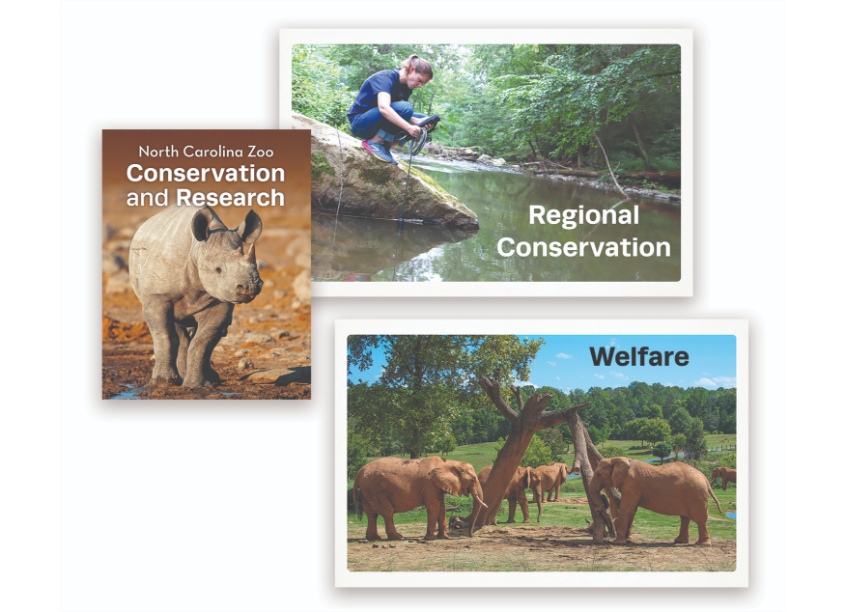 NC Carolina Zoo Conservation Report by North Carolina Zoo