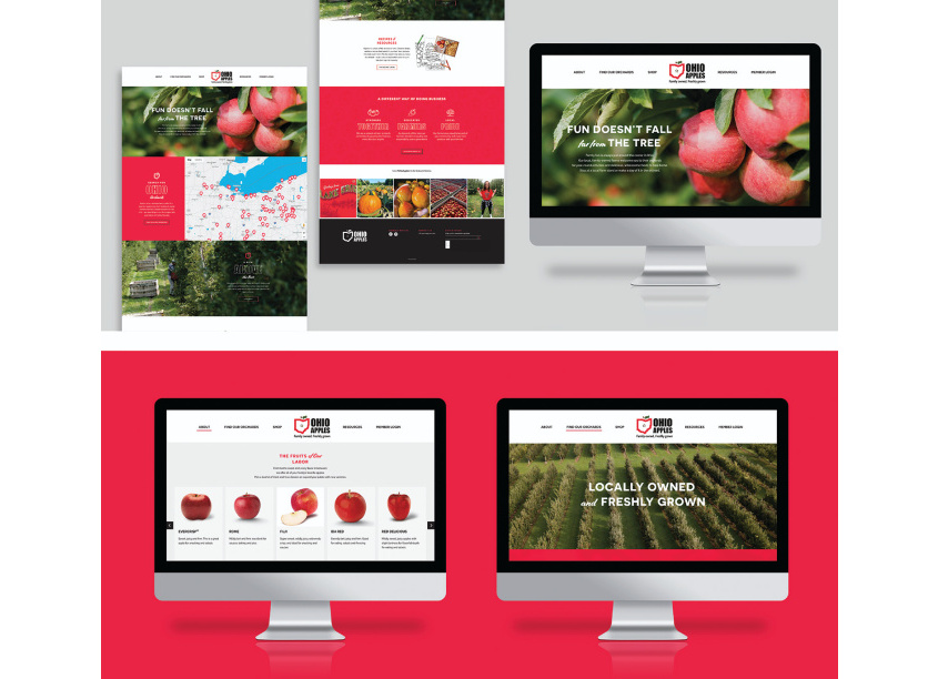 Ohio Apples Website by Muse Content Group